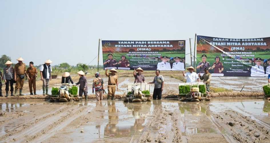 Jaga ketahanan pangan, Wali Kota Metro tanam padi
